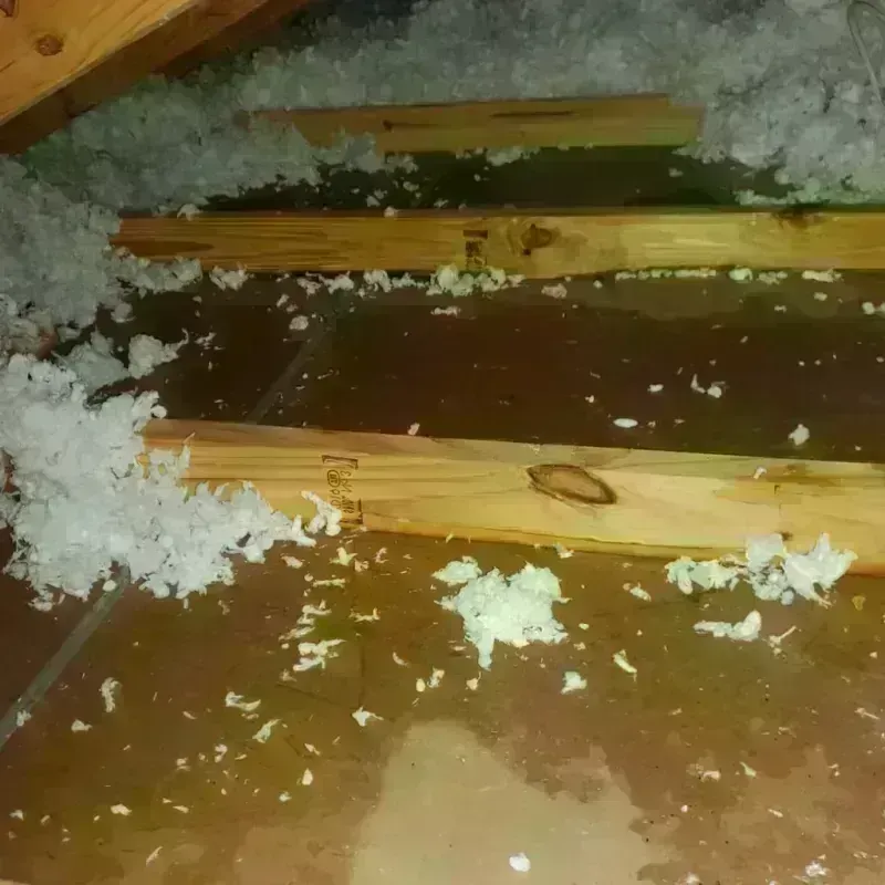 Attic Water Damage in Hillsboro, WI