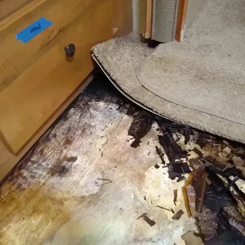 Wood Floor Water Damage in Hillsboro, WI